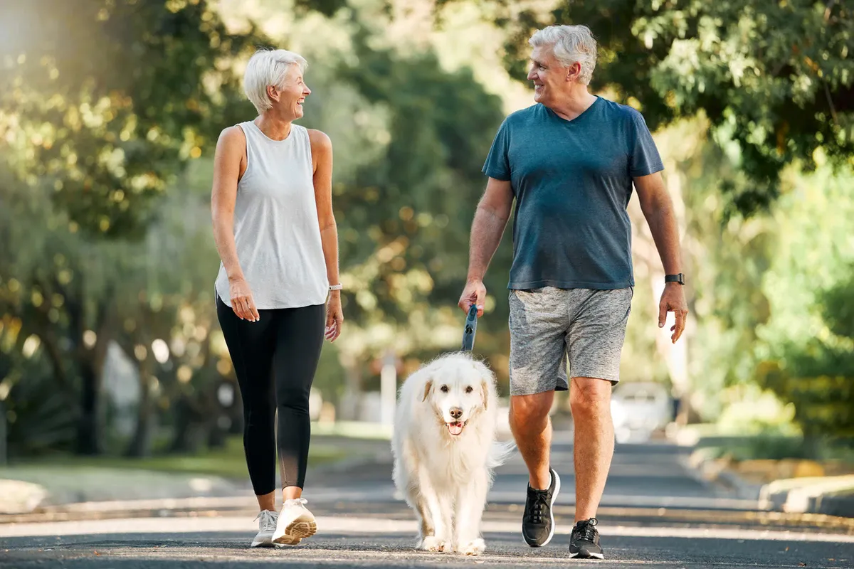 Signs of Normal Aging: Active Seniors on a Neighborhood Walk Older couple walking a white dog on a sunny, tree-lined street; active lifestyle showing signs of normal aging.